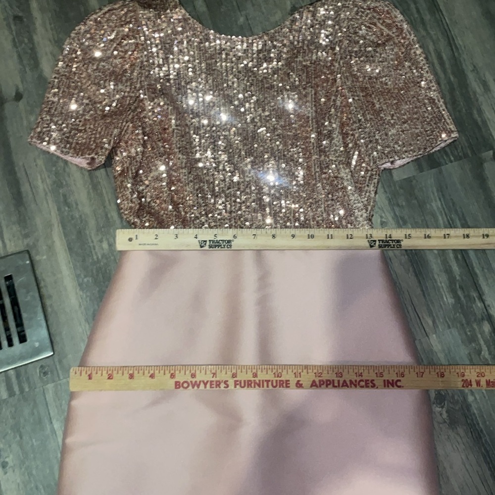 Sachin + Babi Margot Gown in blush. Size 2 - Picture 5 of 13